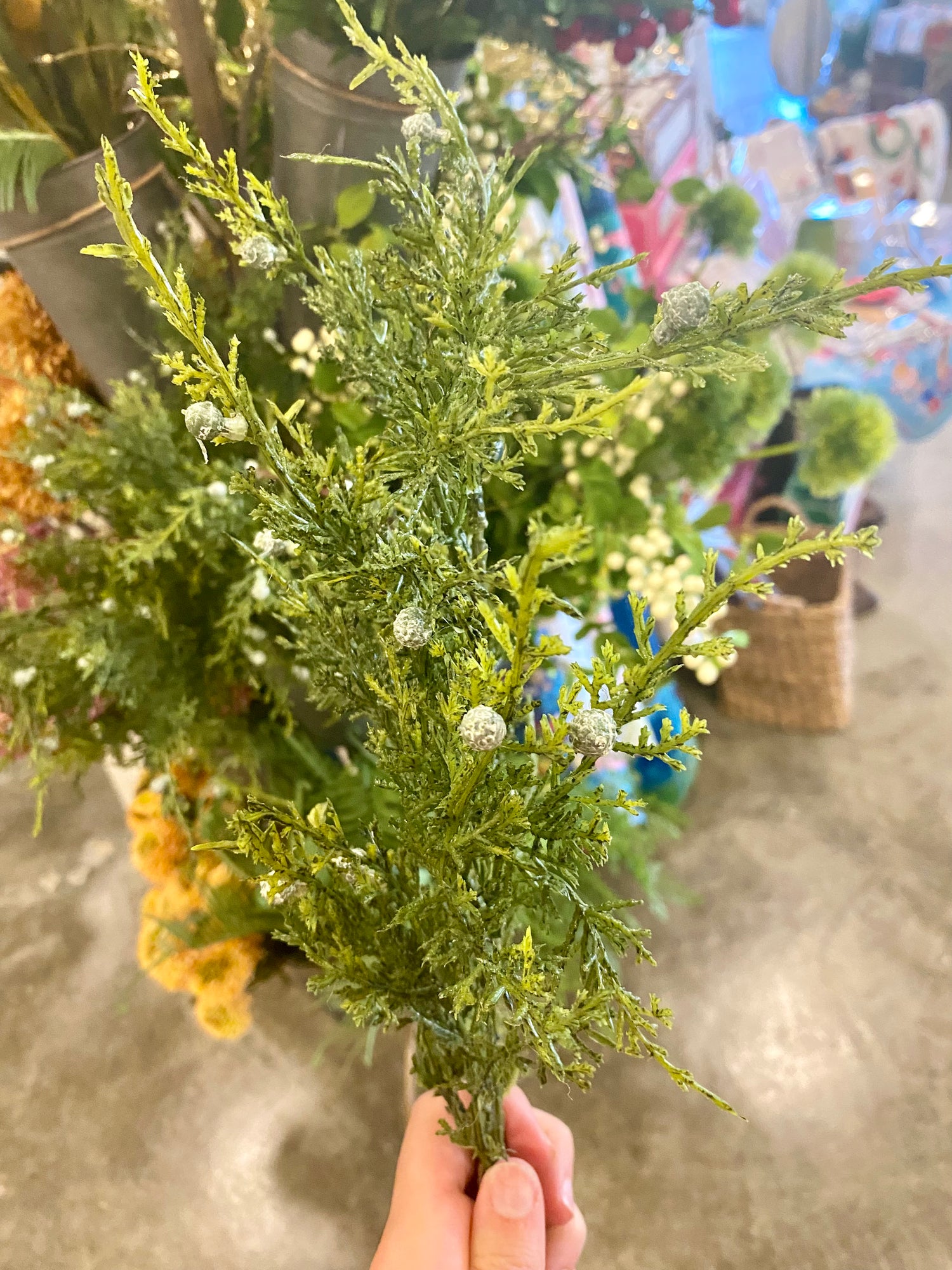 Juniper Spray XS1130