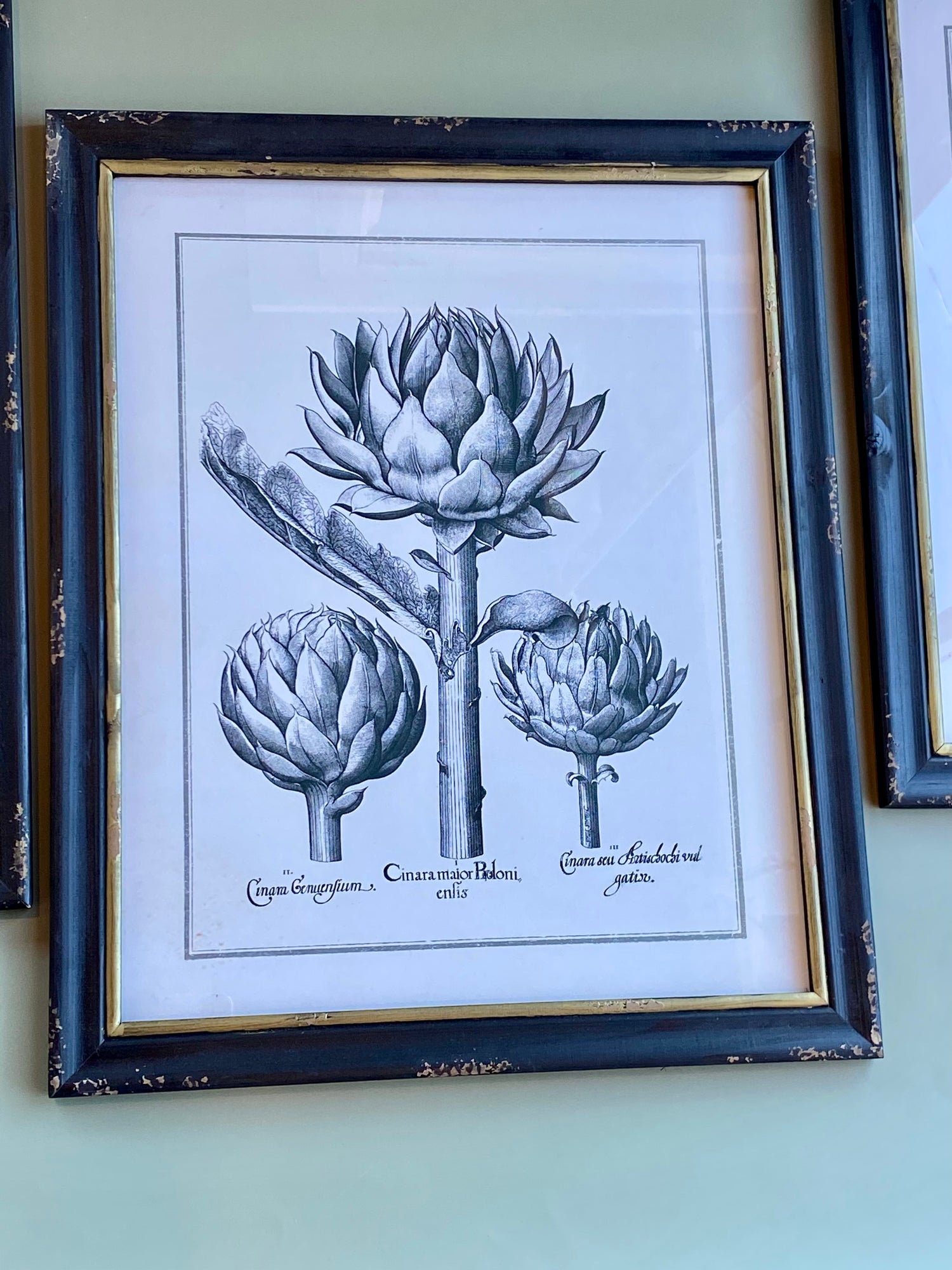 Gold and Black Framed Prints