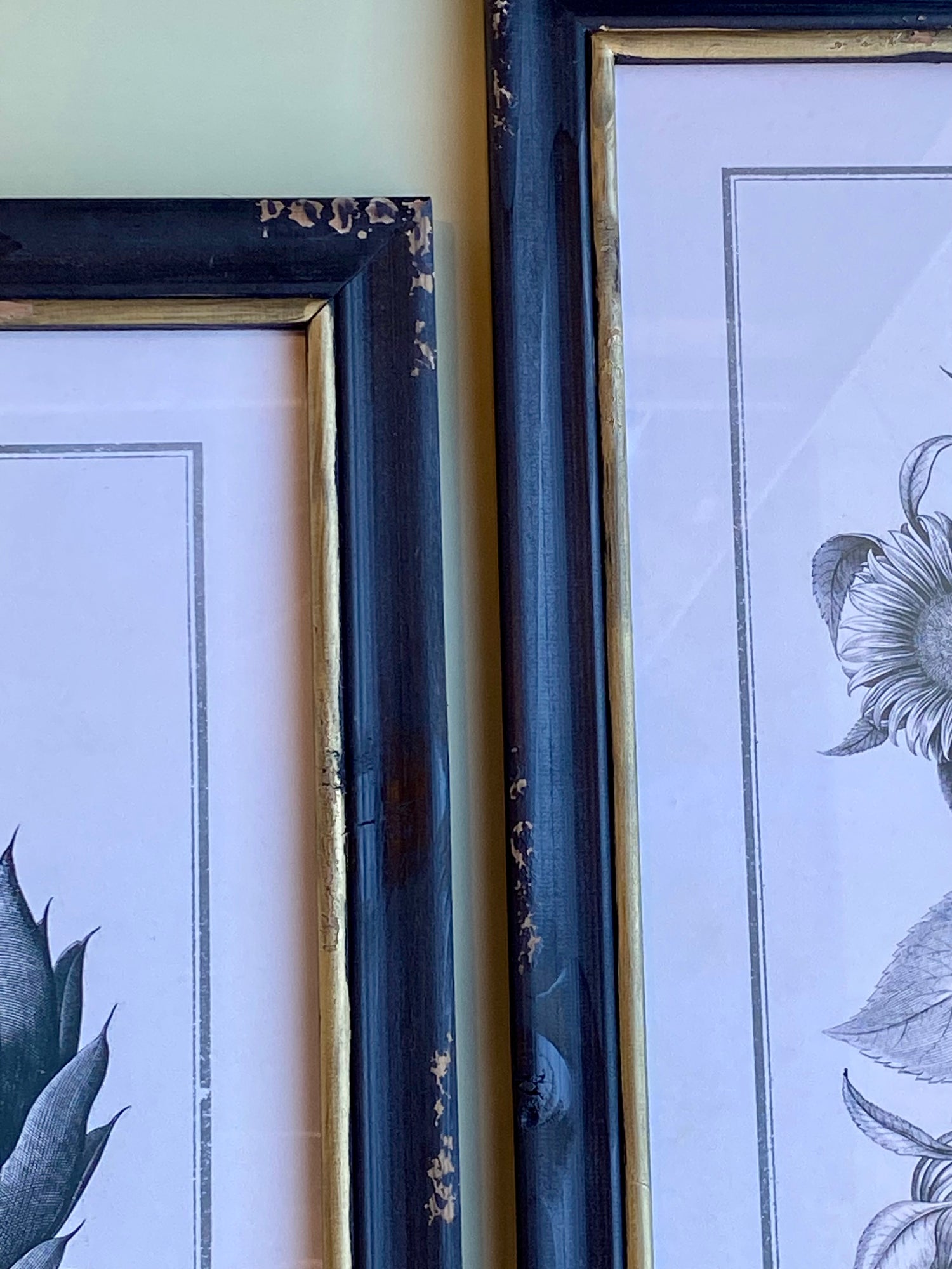 Gold and Black Framed Prints