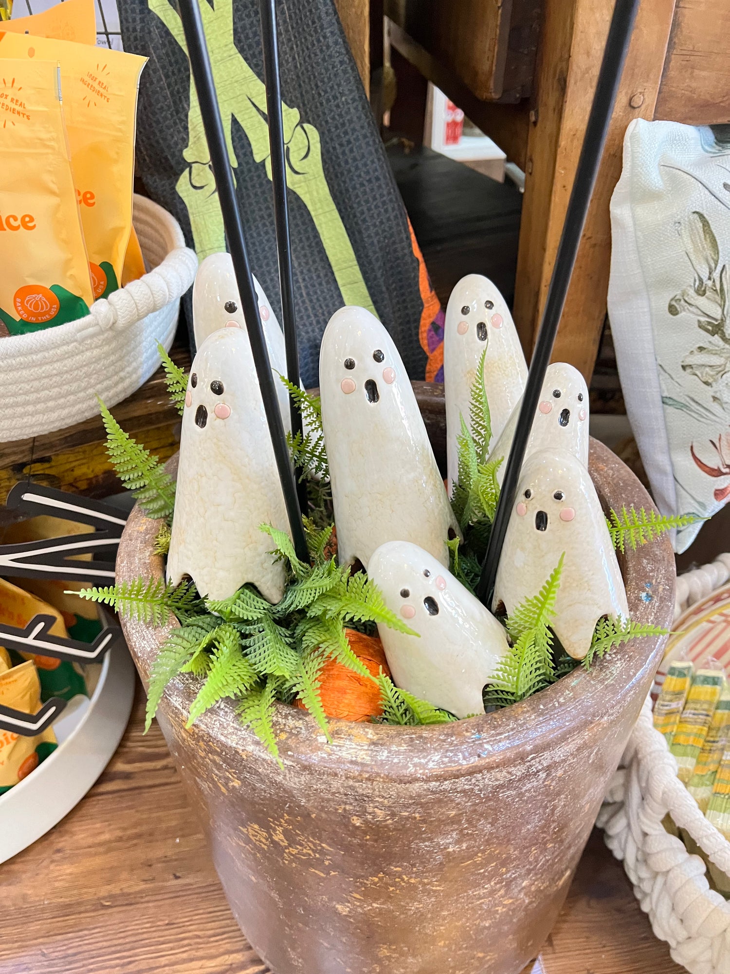 Ghost Plant Sticks Ceramic