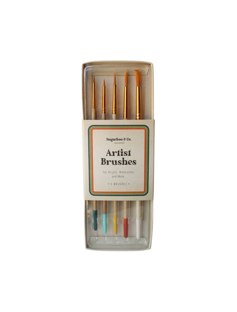 Beginner Paint Brush Kit