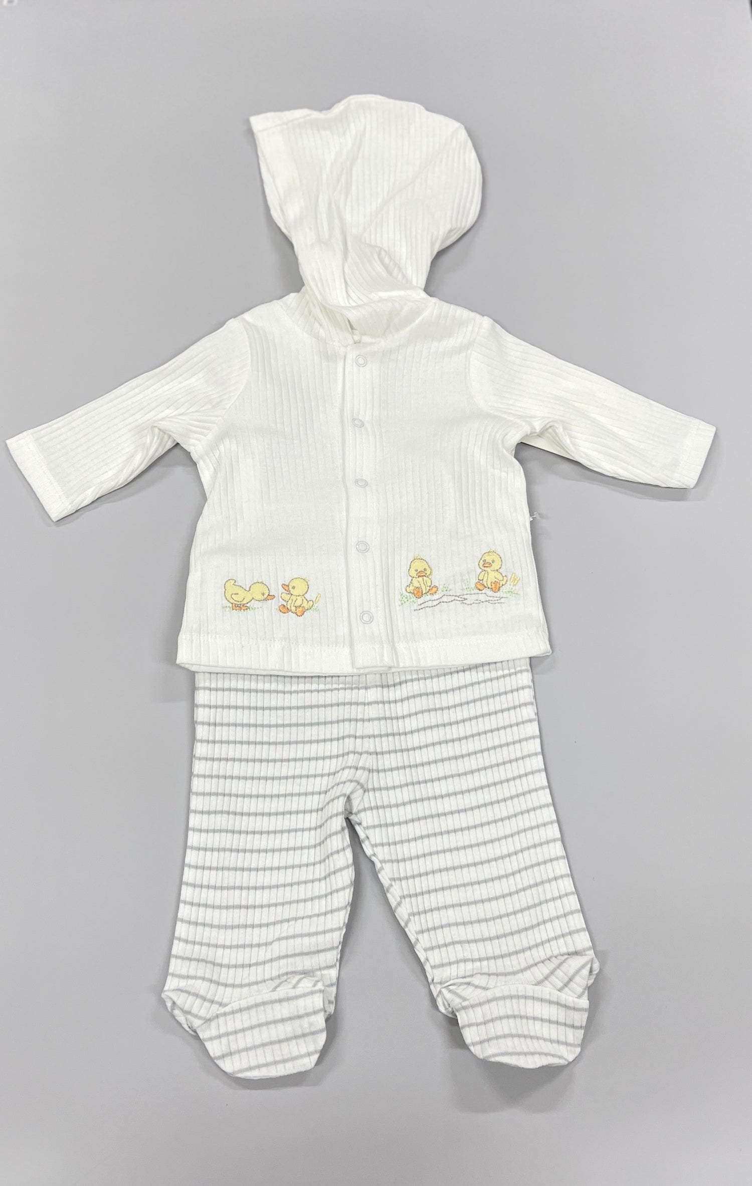 Splashy Ducks 2pc Cardigan Set