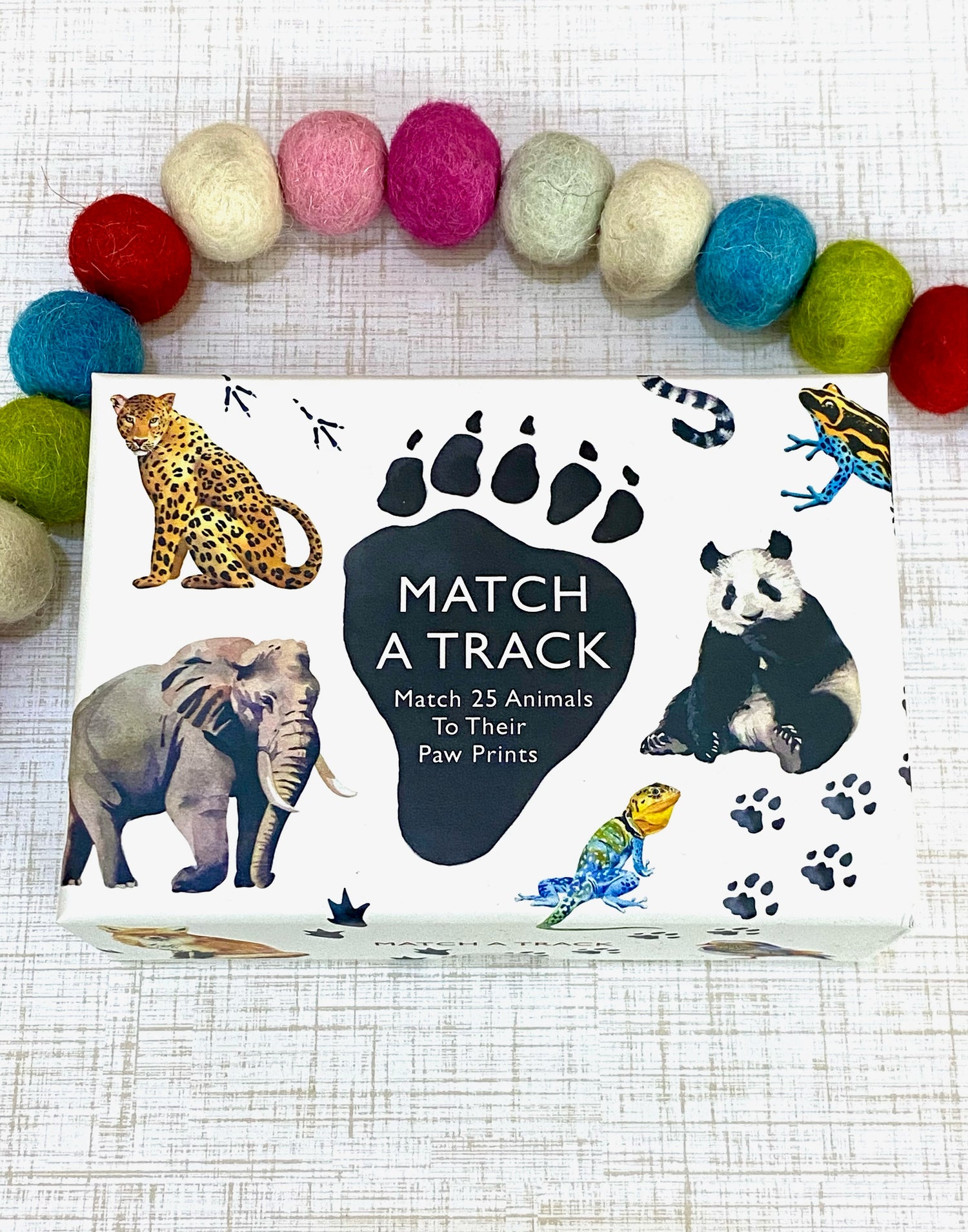 Match A Track Animal Paw Prints