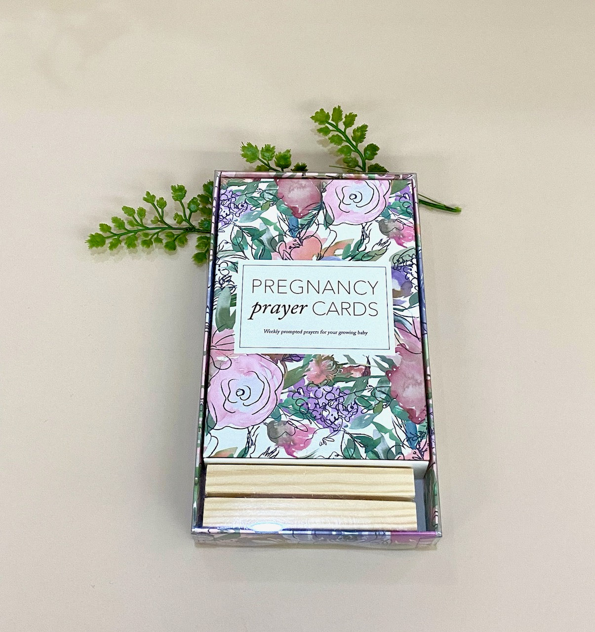 Pregnancy Prayer Cards Multi Colored