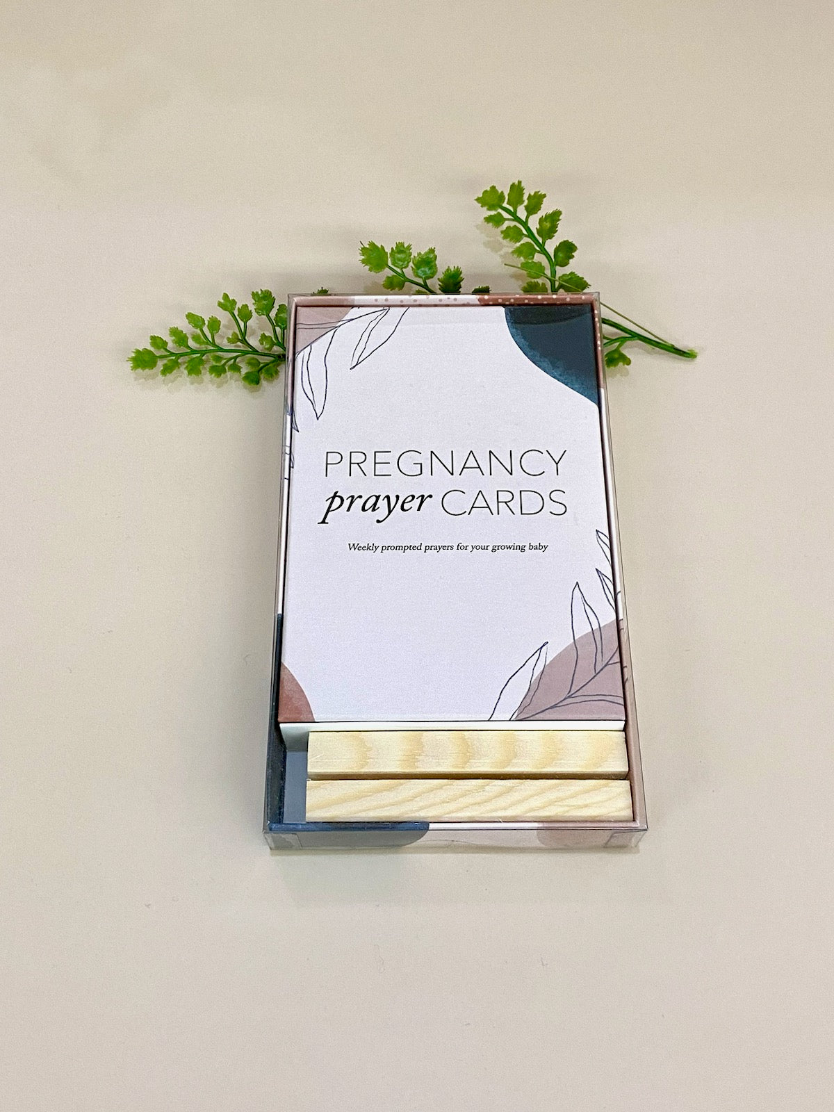 Pregnancy Prayer Cards Neutrals