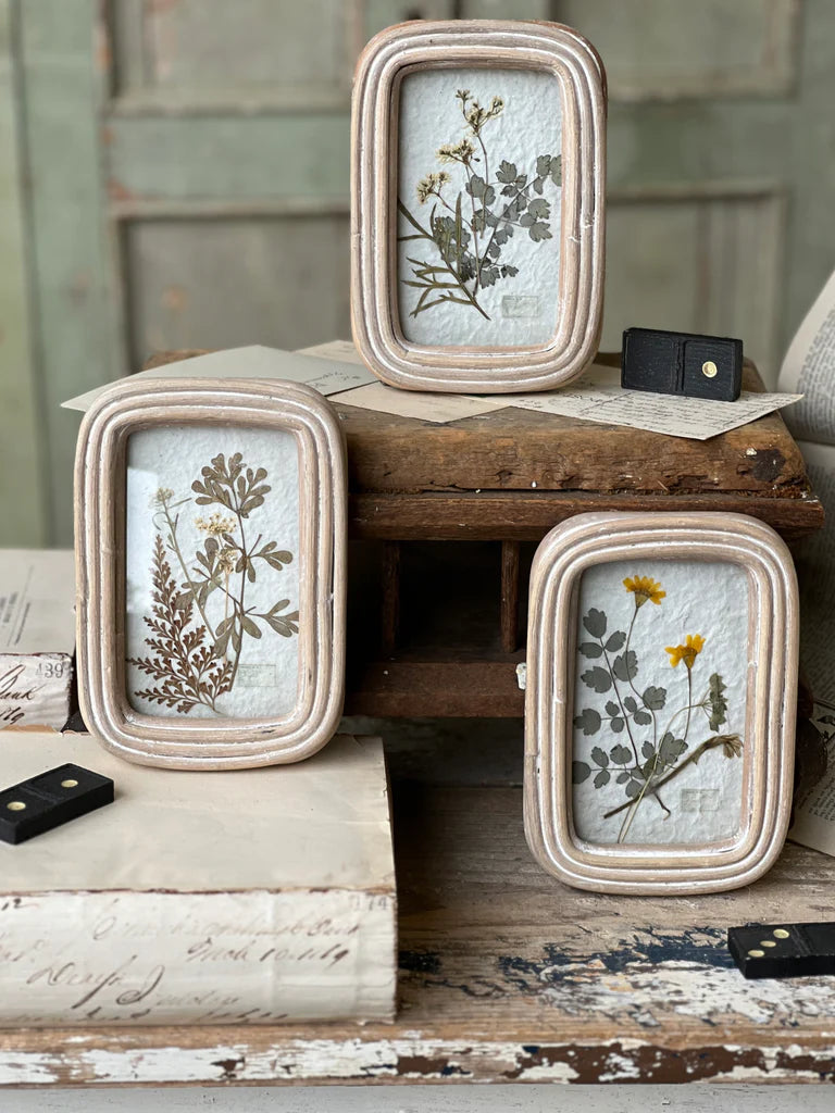 Wakefield Mini Botanical No. 3