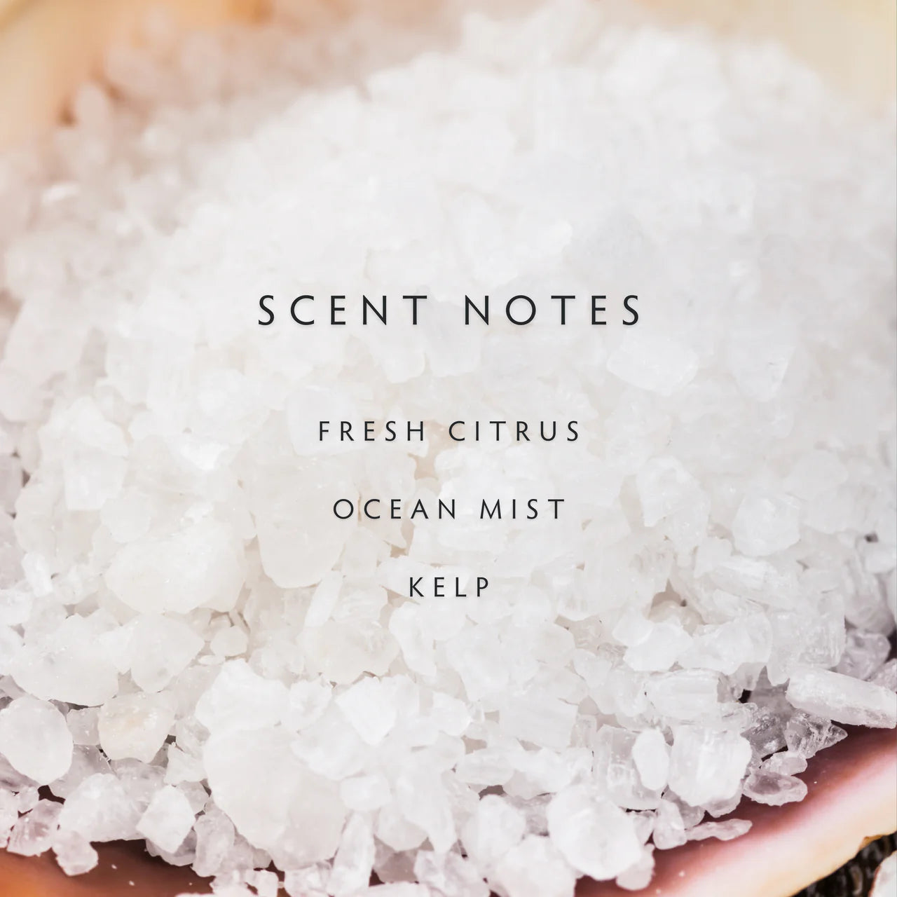 Sea Salt Two Wick Petite Candle