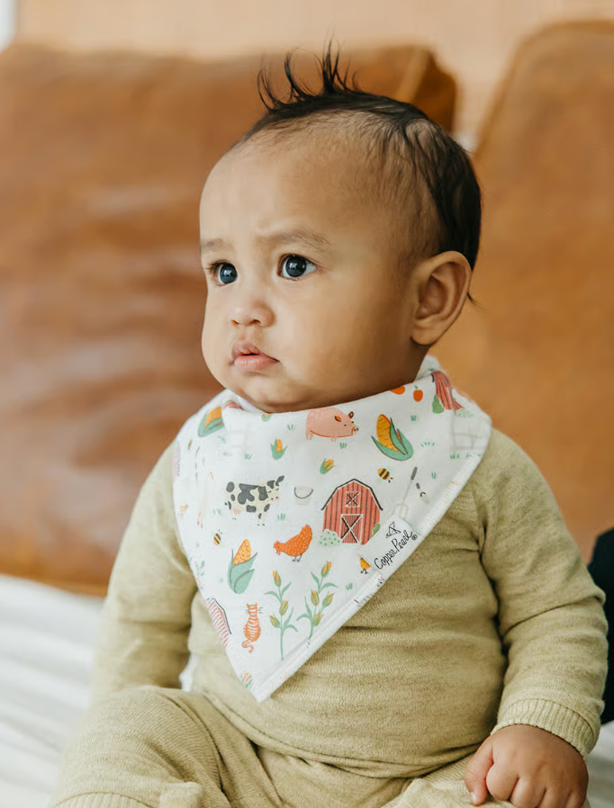 Farmstead Bandana Bibs