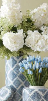 White Cone Hydrangea Stem