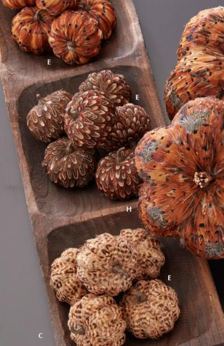 Feather Pumpkins