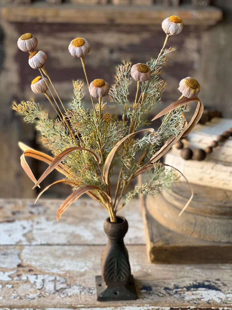 Poppy Pod Bush
