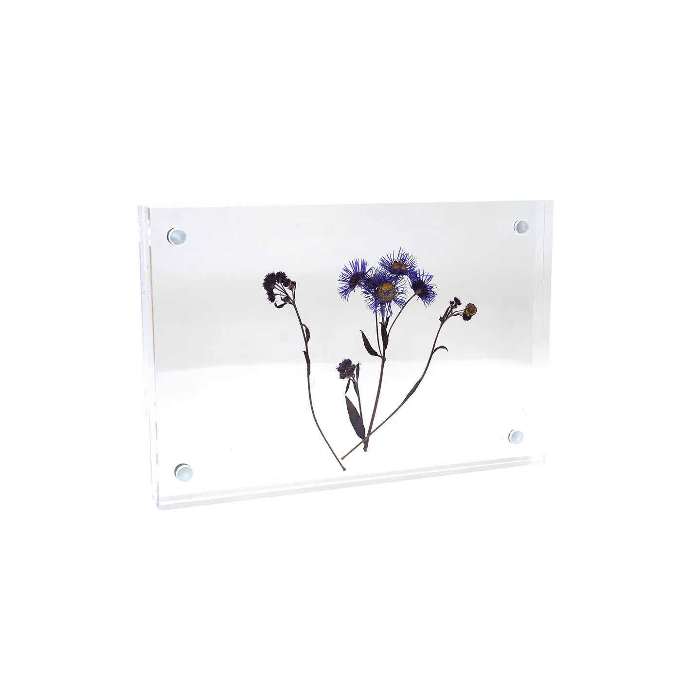 Acrylic Standing Frame