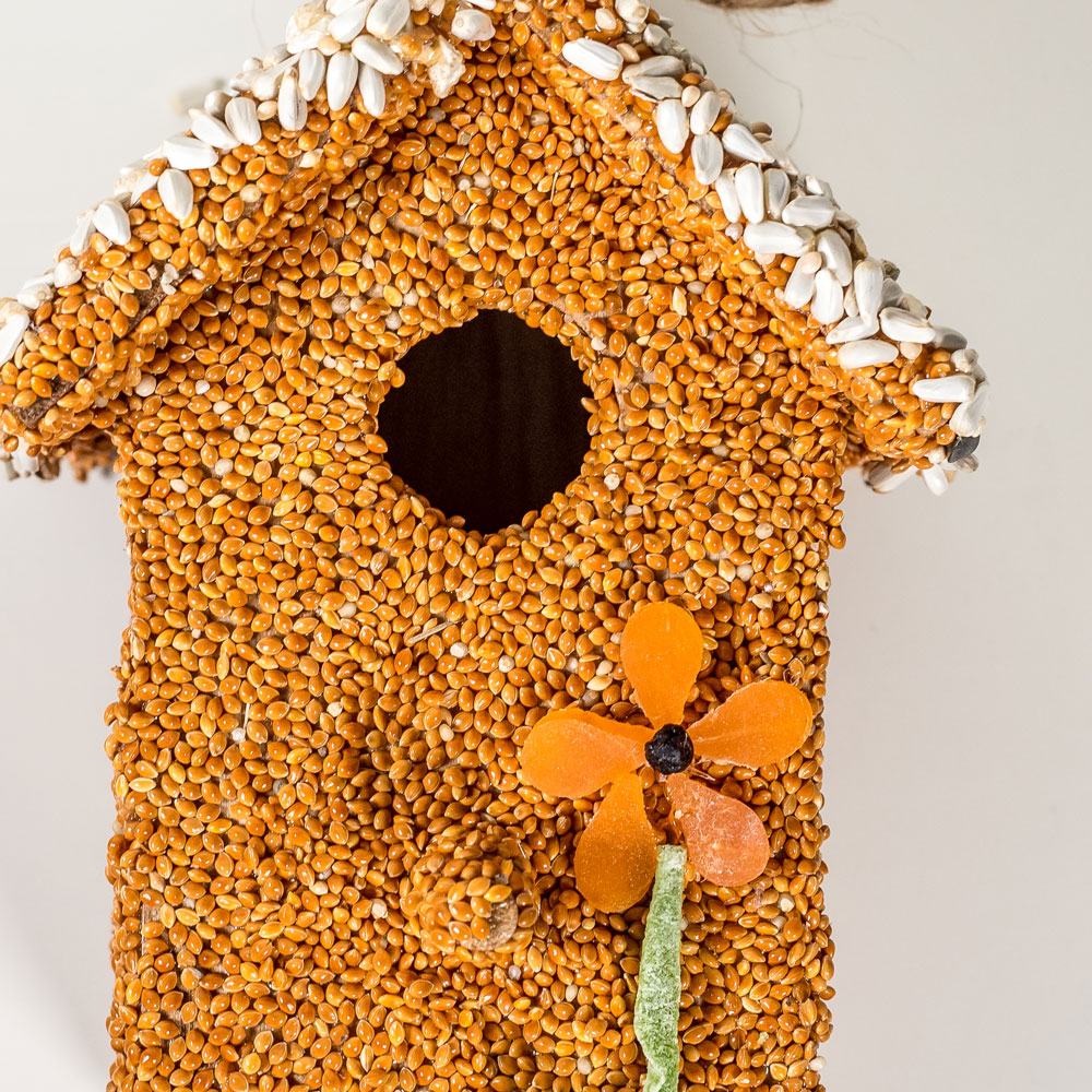 Spring Fruit Cottages Bird Feeders