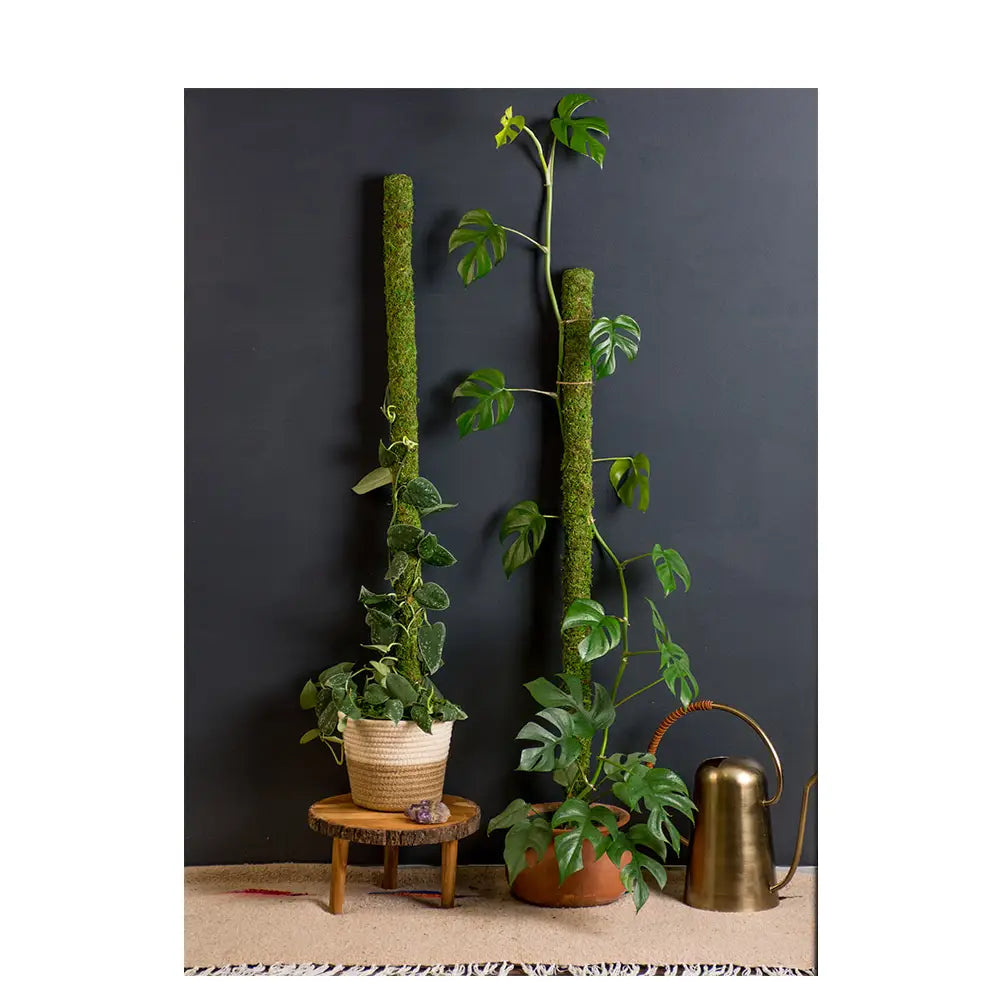 Moss Poles