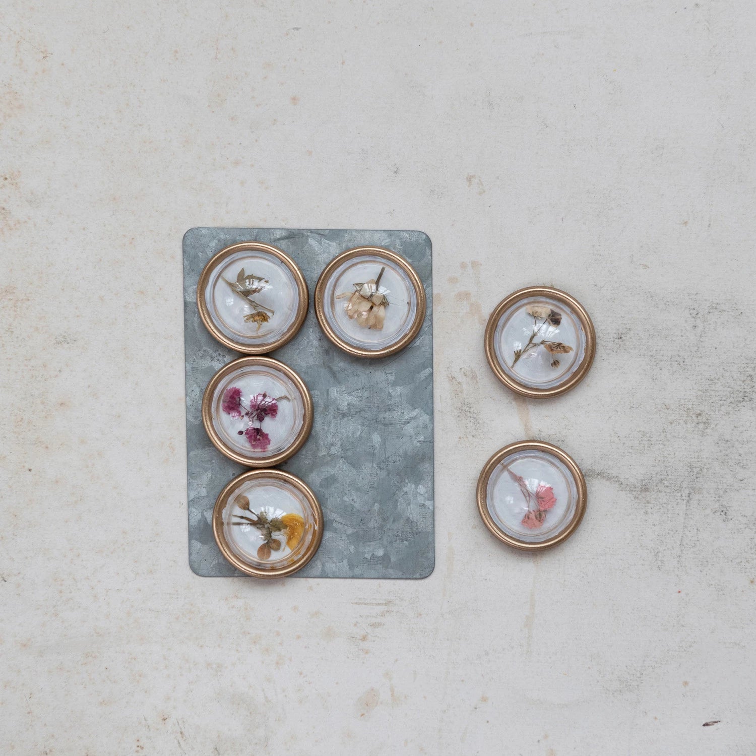 Botanical Magnets