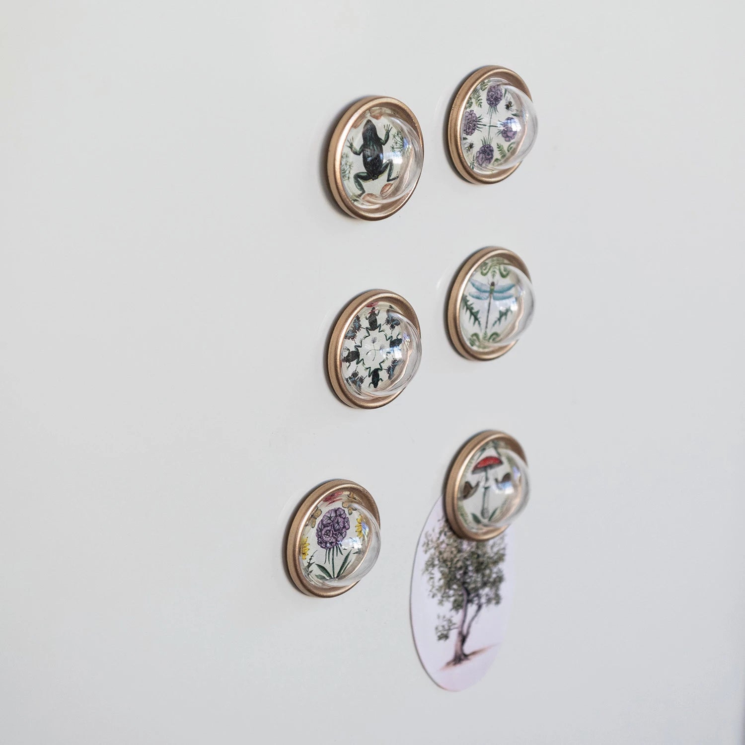 Animals + Botanicals Magnets