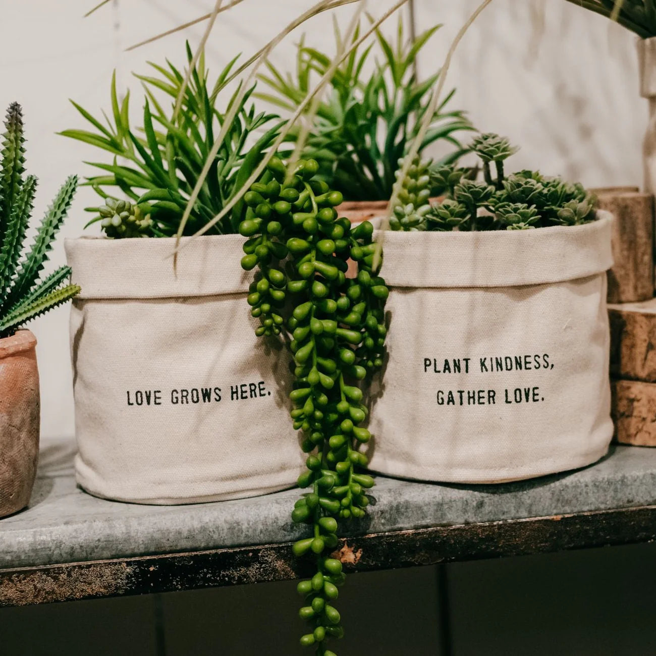 Love Grows Here Small Canvas Planter