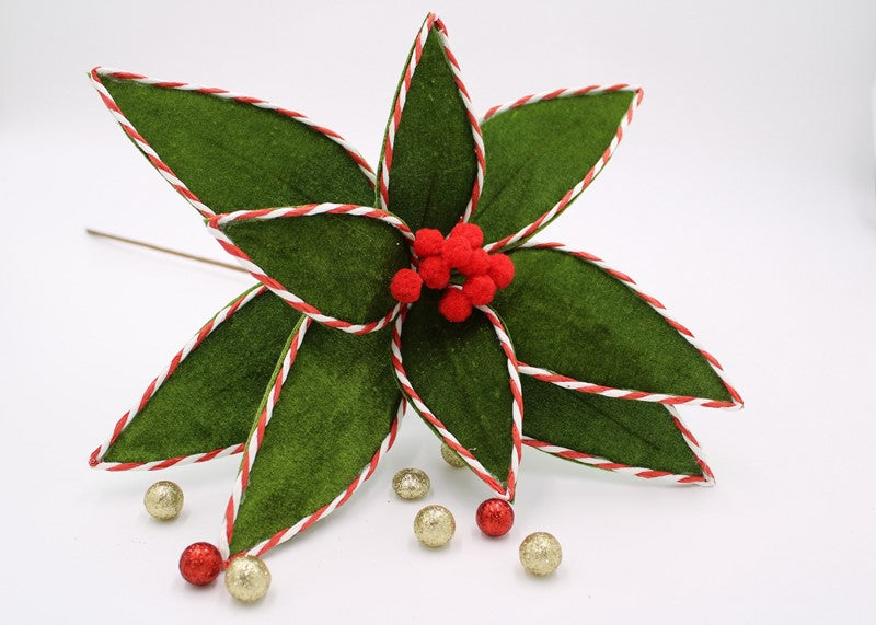 Poinsetta Stem