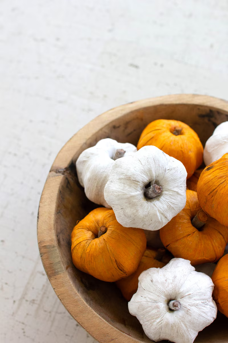 Dried Faux Pumpkins : White