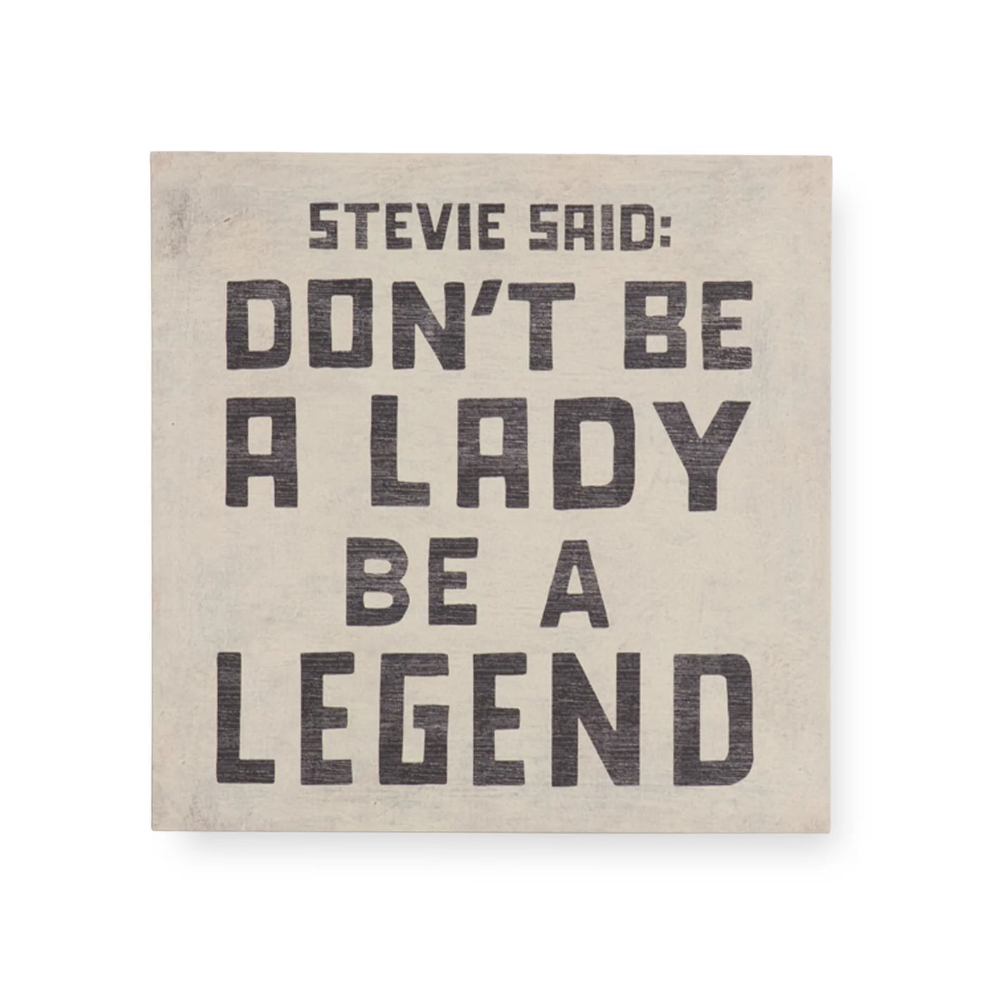 Stevie Said Art Poster